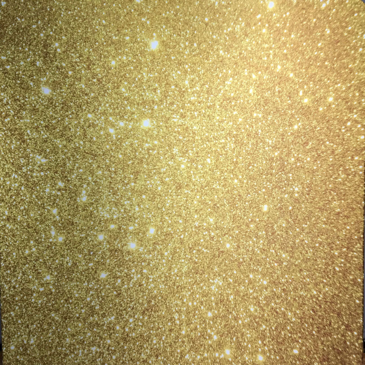 Champagne Shimmer photo booth backdrop